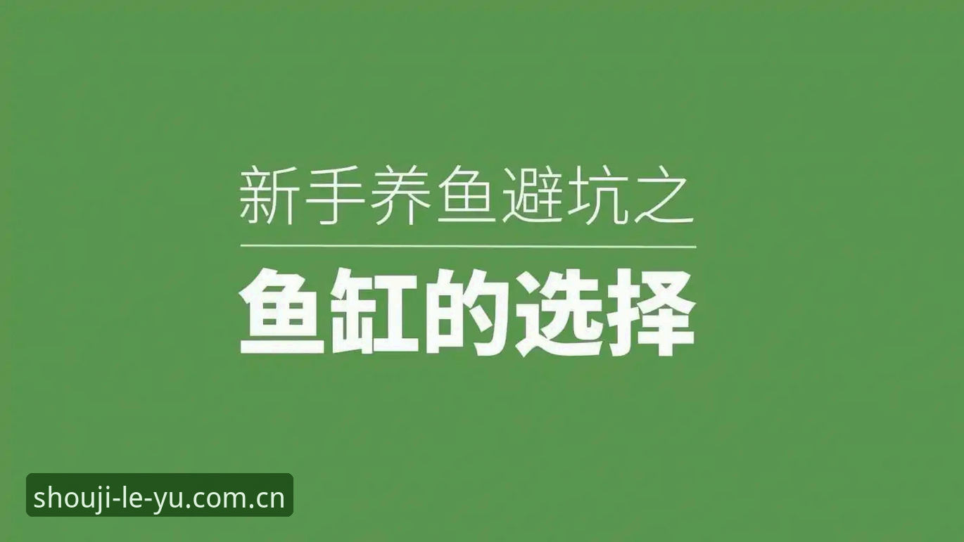 乐鱼版本 如何选择最适合你的乐鱼版本?v3.0.1值得升级吗?